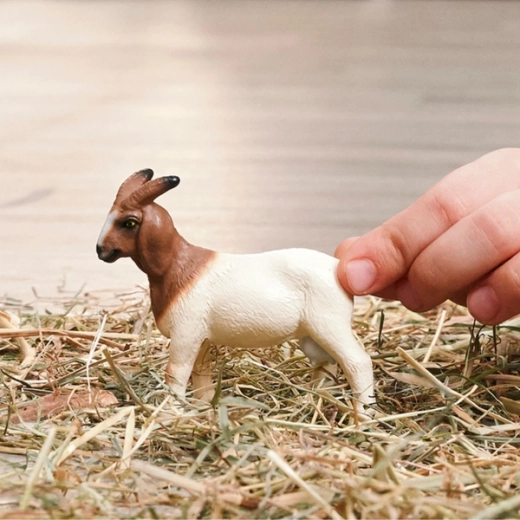 Dimensioni perfette per la mano