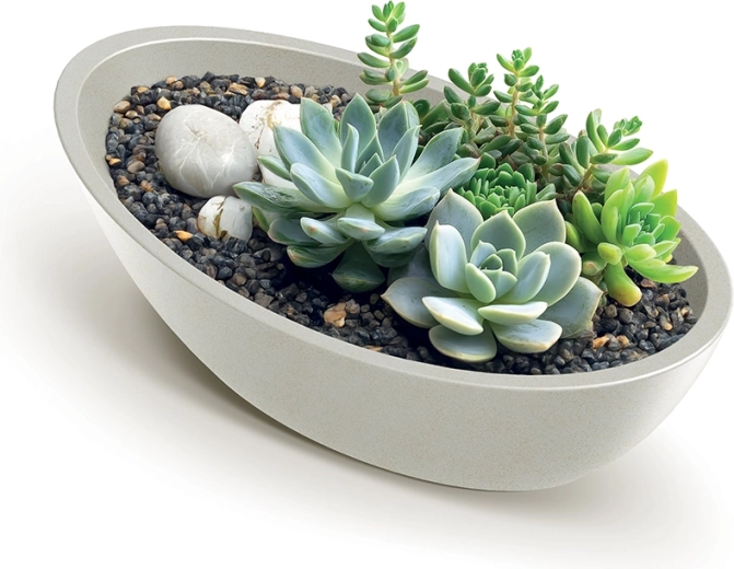 Ideale per succulente e composizioni