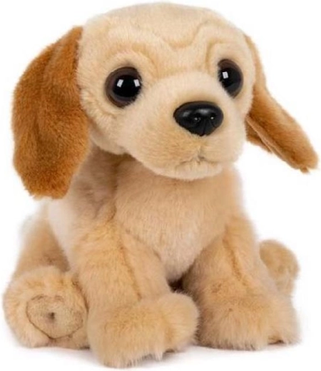 Labrador di peluche seduto 15 × 17 cm