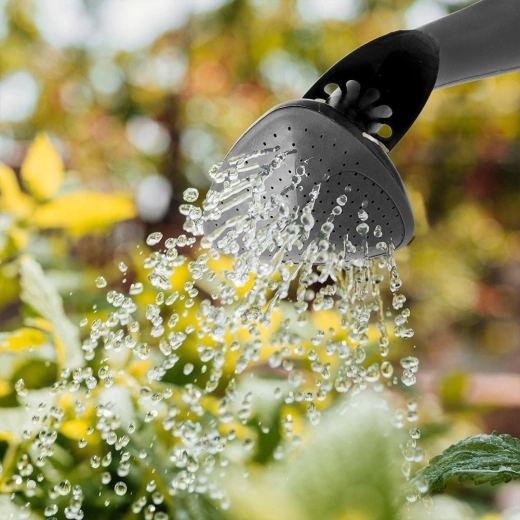 Irrigazione delicata con rosone removibile