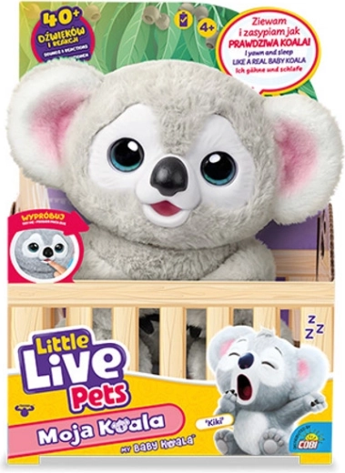 Little Live Pets il mio cucciolo di koala Kiki