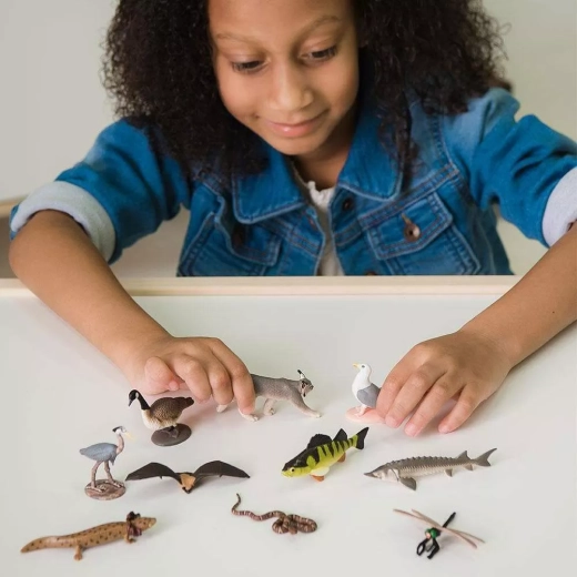 Sostiene la creatività e l’apprendimento attraverso il gioco