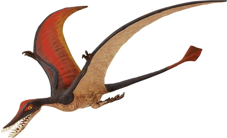 Dimensione ideale da tenere in mano e per l’esposizione