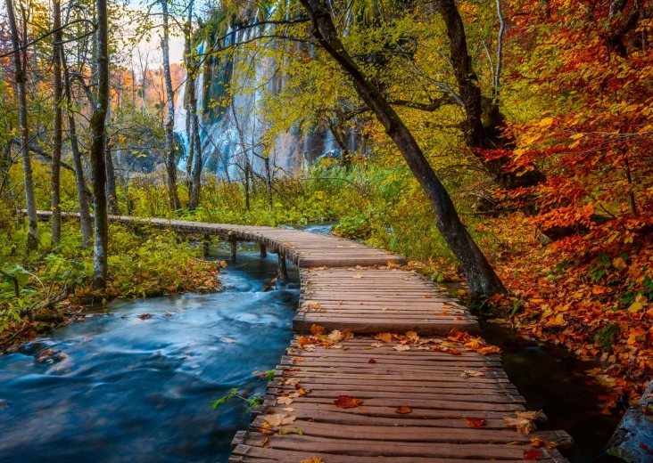Puzzle Ravensburger Foresta misteriosa 1.000 pezzi
