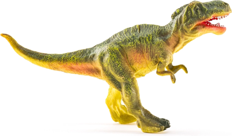 Dimensioni maggiori 15–20 cm