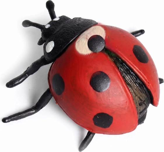 Lavorazione realistica della coccinella