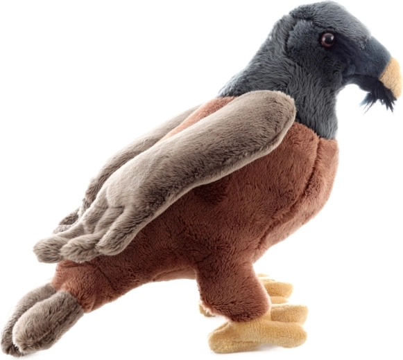 Dimensione ideale 25 cm