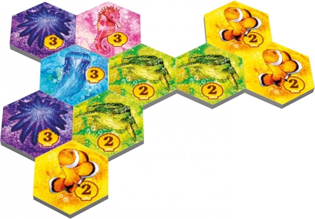 Splendide illustrazioni della fauna marina