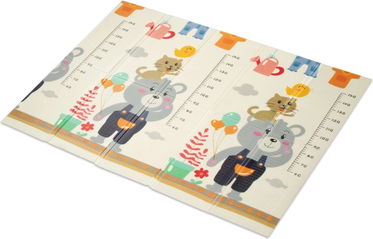 Grafica bifacciale con righello per l’altezza