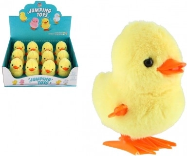 Giocattolo anatra a carica