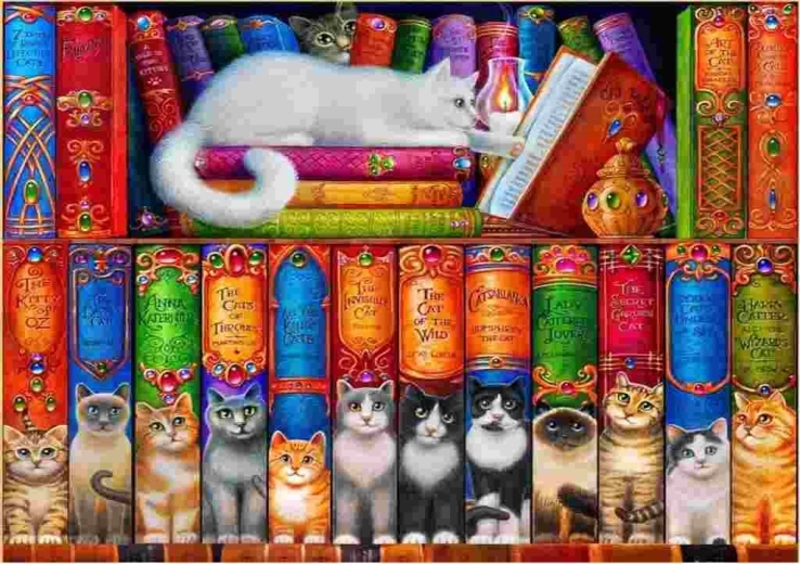 Puzzle Biblioteca dei Gatti 1000 pezzi BLUEBIRD