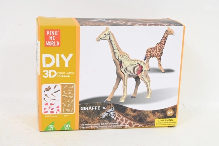 Modello anatomico di giraffa