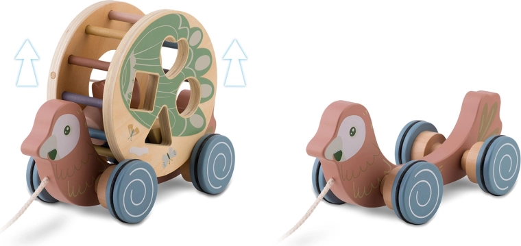 2 in 1: pappagallo + sorter indipendente