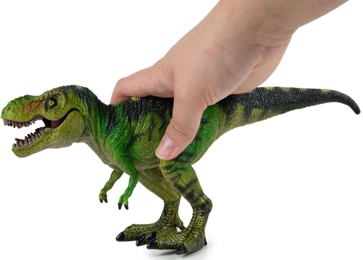 Struttura resistente per un divertimento duraturo