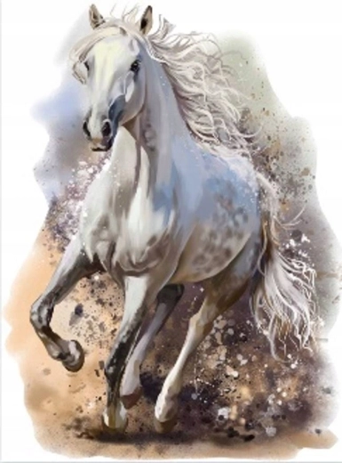 Norimpex pittura con diamanti cavallo bianco al galoppo 30 × 40 cm