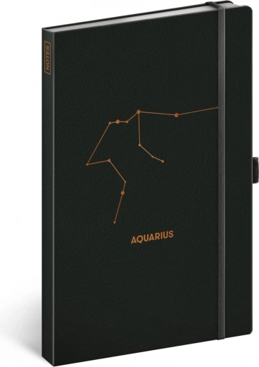 Design con il segno dell’Acquario