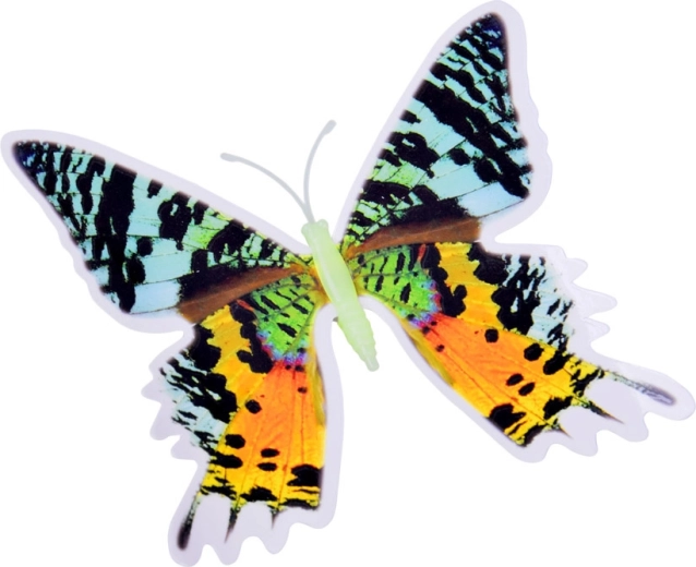 Applicazione semplice e disposizione variabile