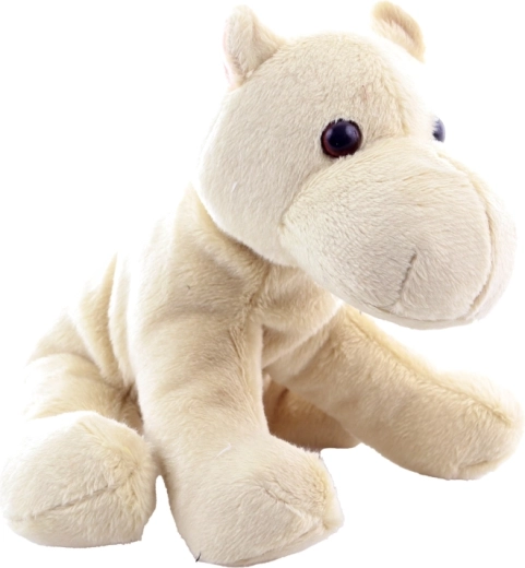 Dettagli adorabili e realizzazione sicura