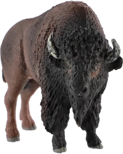 Animale del Nord America