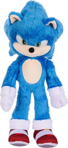 Dettagli fedeli di SONIC