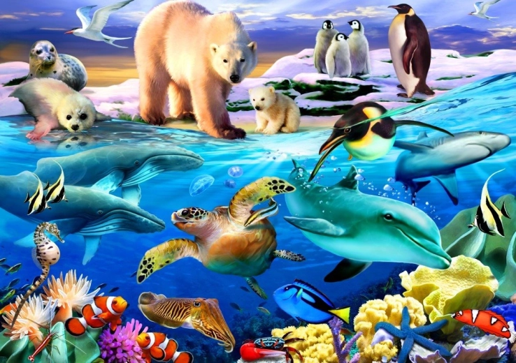 Puzzle Bluebird Oceano della vita 1000 pezzi
