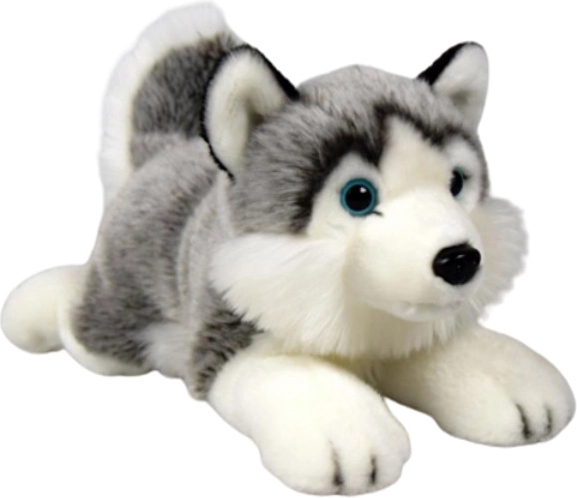 Peluche cane husky Dubi 27 cm