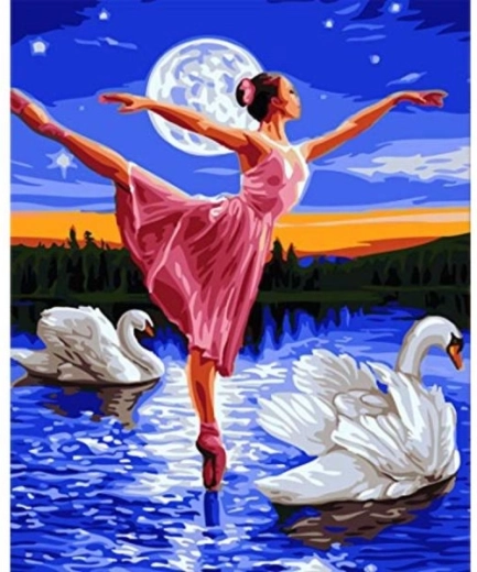 Dipinto per numeri su tela intelaiata 40 × 50 cm – Lago dei cigni