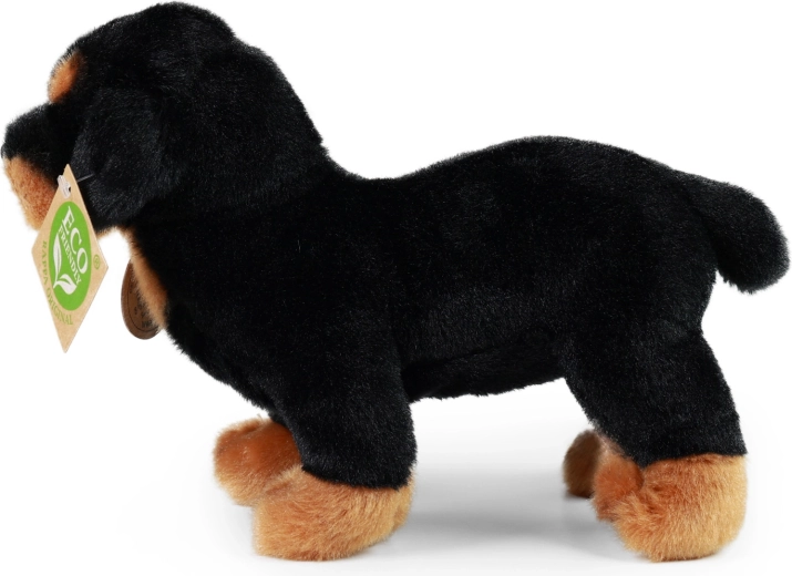 Parte della RAPPA Exclusive Collection