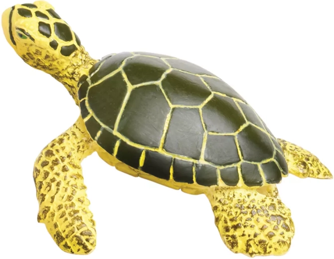 Ideale per imparare sulla natura e sull’oceano