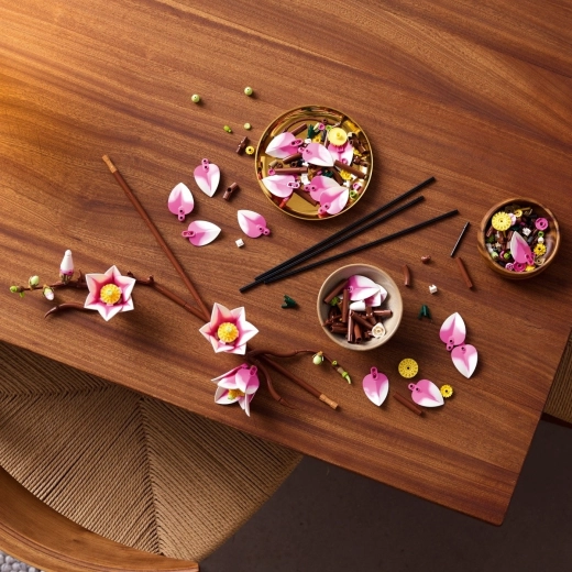 Costruzione rilassante per adulti