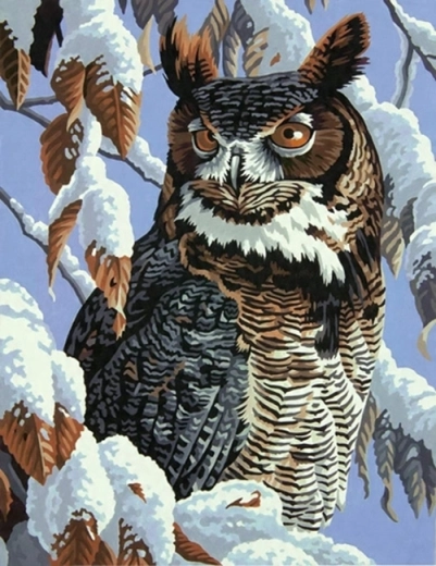 Norimpex Dipingi con i numeri Gufo su un ramo innevato 40 × 50 cm