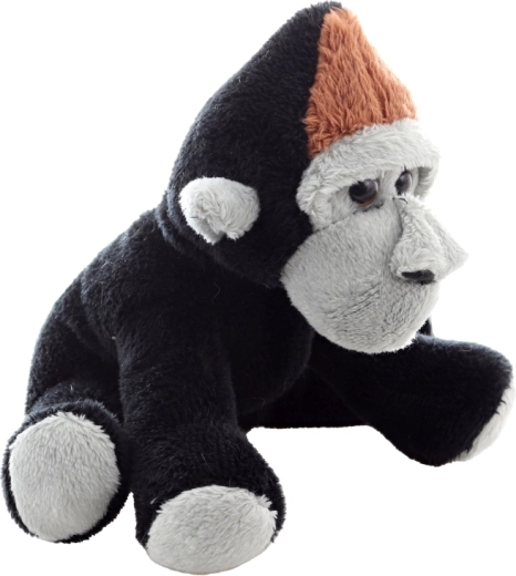 Dettagli adorabili ed espressione accogliente