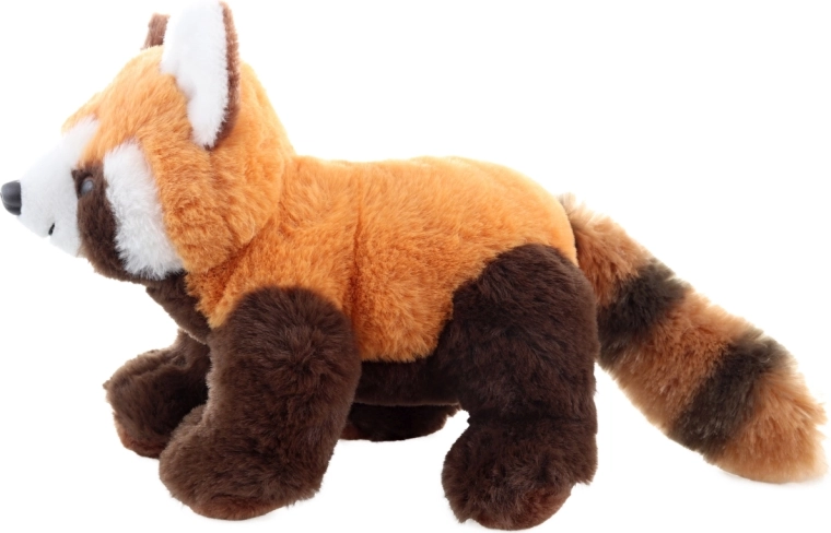 Dettagli realistici della panda rossa