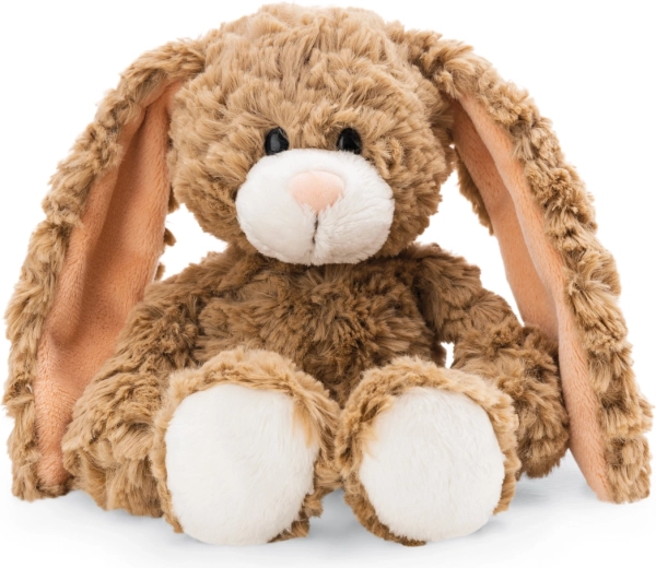 Design adorabile con lunghe orecchie
