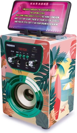 Connessione Bluetooth e karaoke dallo smartphone