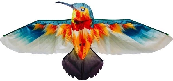 Drago Colibrì