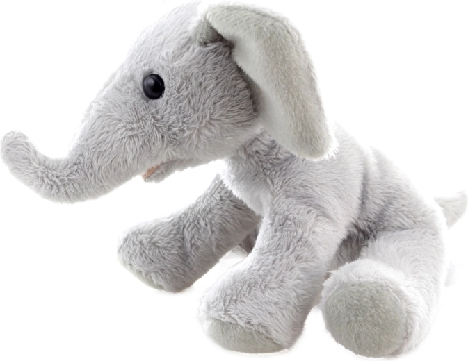 Dimensioni compatte 15 cm