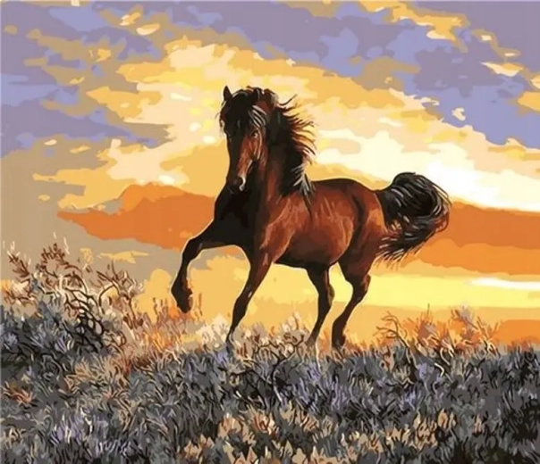 Norimpex dipingere con i numeri Cavallo al tramonto 40 × 50 cm