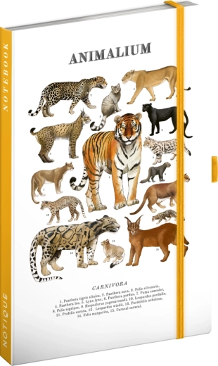 Notique Notes Animalium – felini (taccuino a righe) 13 × 21 cm
