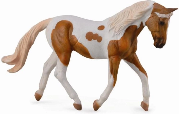 Collecta puledro palomino