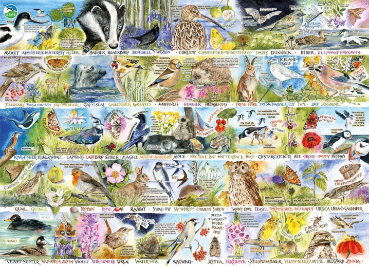 Puzzle GIBSONS RSPB incanto della natura primaverile 1000 pezzi