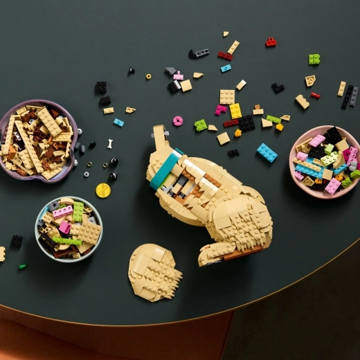 Divertimento di costruzione con guida 3D