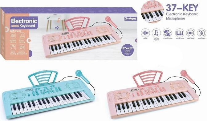 Organo elettronico con microfono, 37 tasti