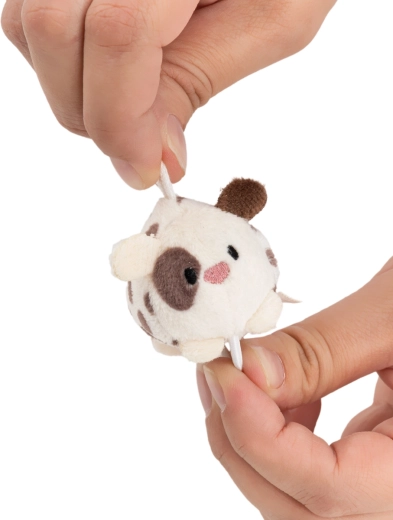 Mini dimensioni, maxi dolcezza