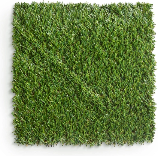 Aspetto naturale di un prato verde