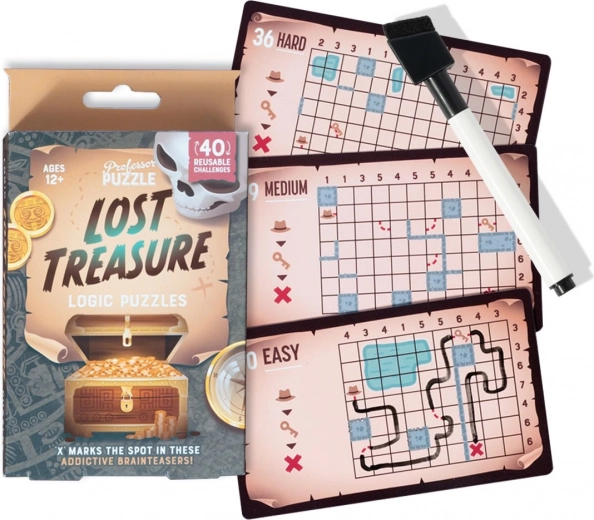 Professor Puzzle gioco di logica Lost Treasure – set di enigmi da viaggio