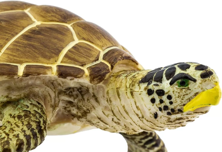 Senza ftalati e adatto dai 3 anni