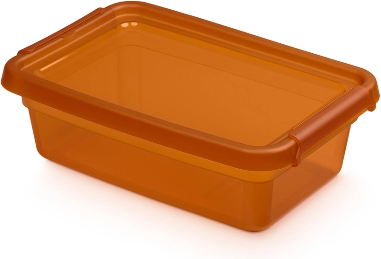 Basestore contenitore portaoggetti con coperchio e clip amber 3 l (19 × 28 × 9 cm)