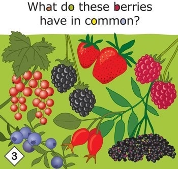 Yummy! gioco educativo sull'alimentazione sana