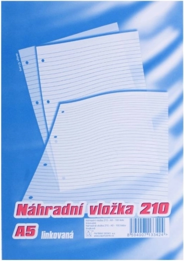 Ricarica per quaderno ad anelli A5, a righe, 100 fogli